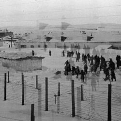 Picture of паліндром