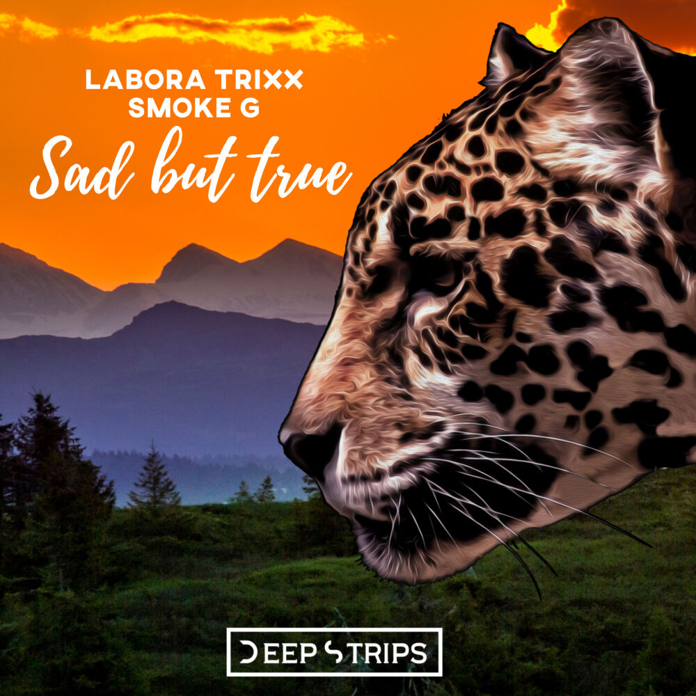 Picture of Labora Trixx