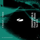 DIM3NSION