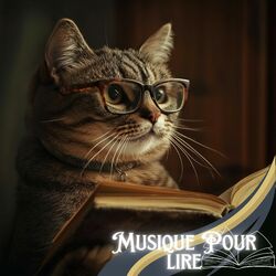 Picture of Musique Pour Étudier