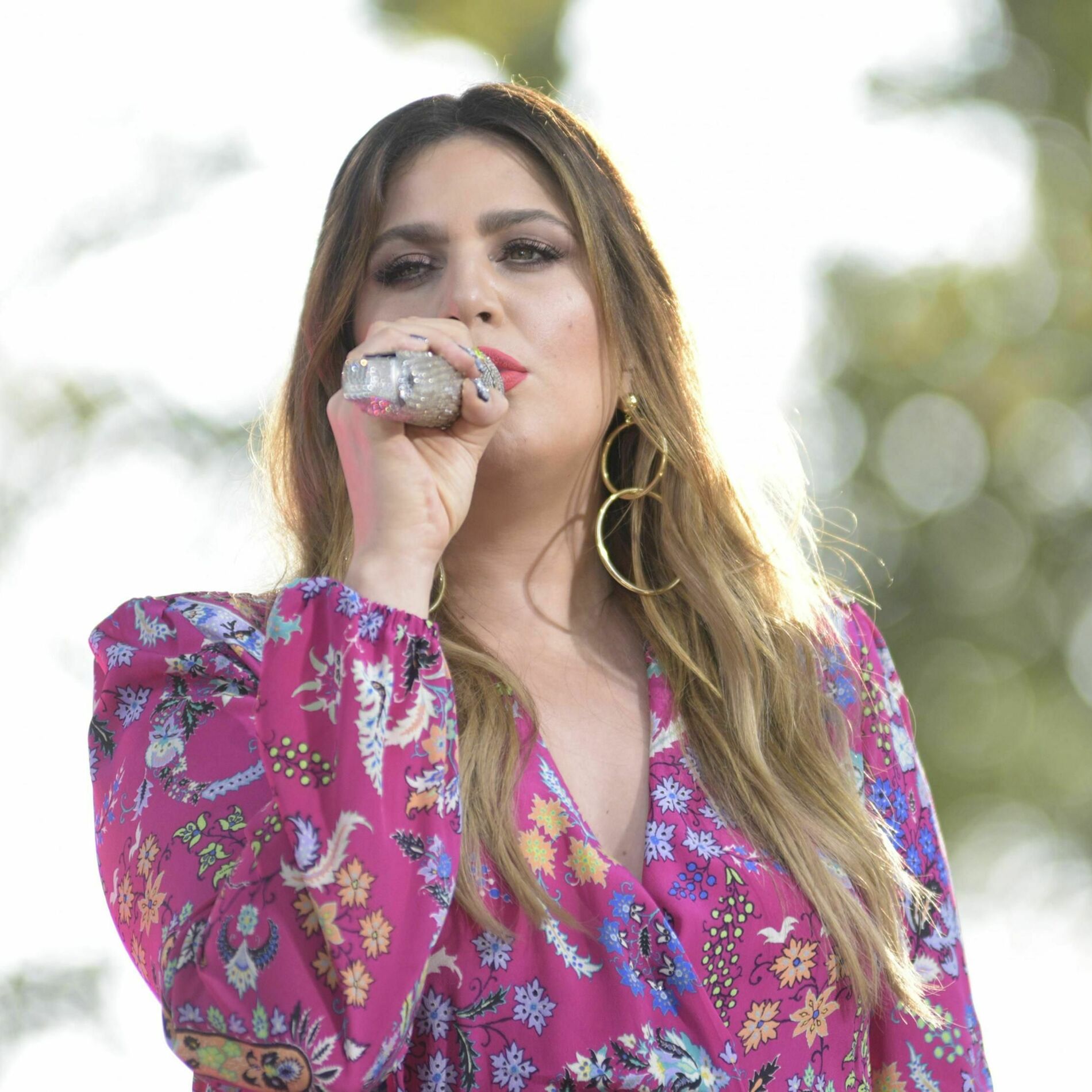 Hillary Scott & The Scott Family