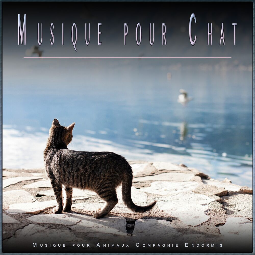 Picture of Musique pour Chats