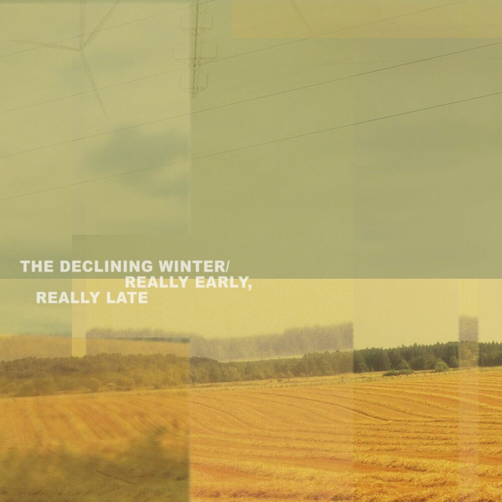 Picture of The Declining Winter