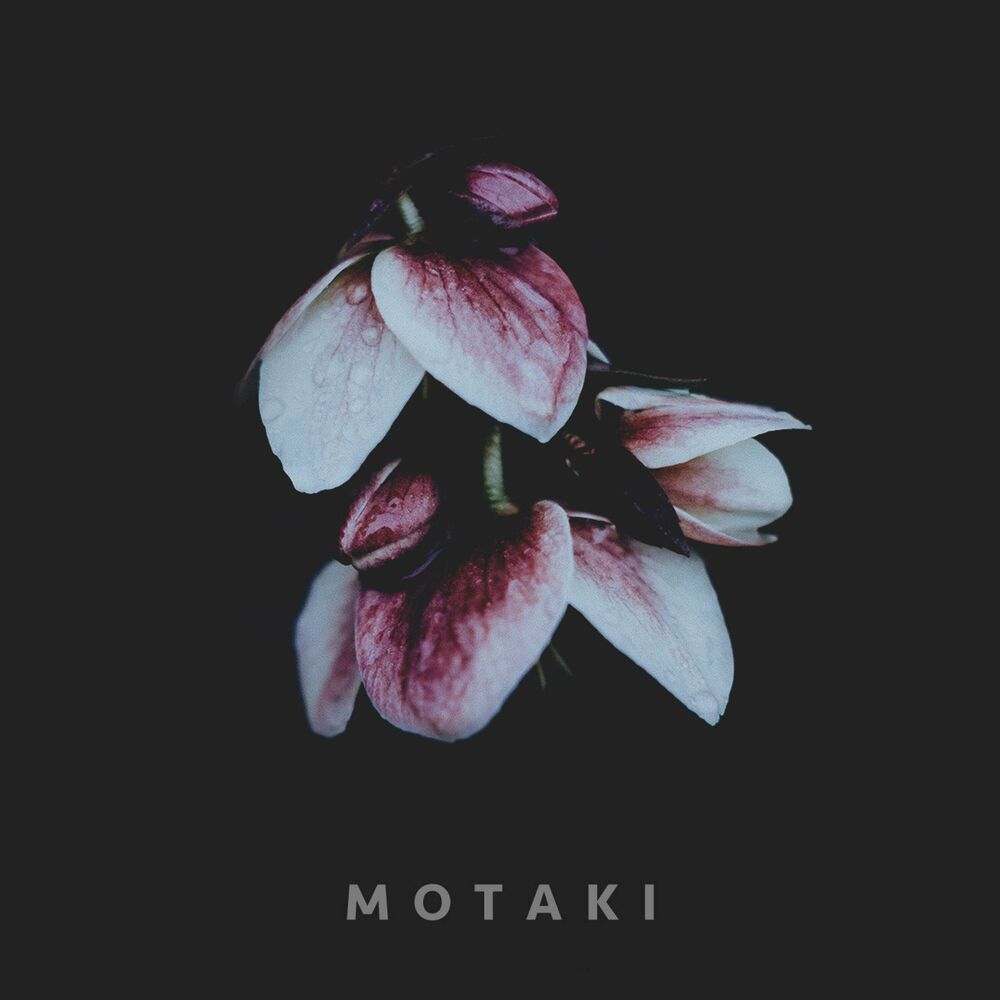 Picture of Motaki