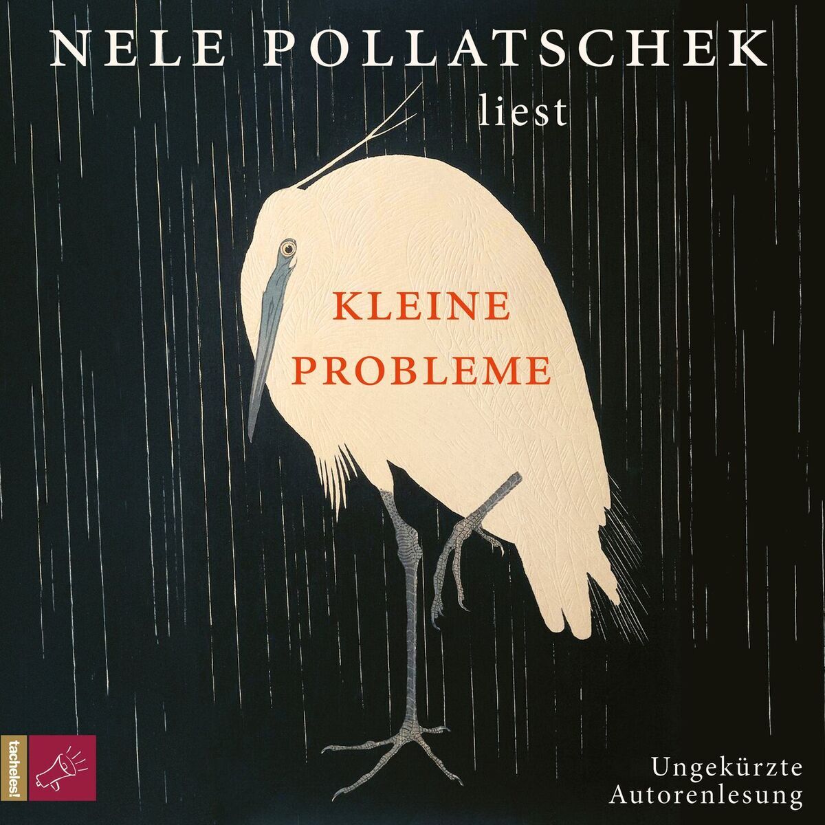 Artist picture of Nele Pollatschek