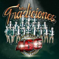 Picture of Banda 466 Paso a Paso