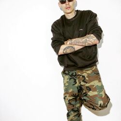Picture of Vladis
