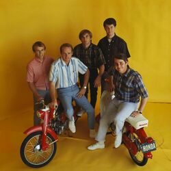 Picture of The Beach Boys