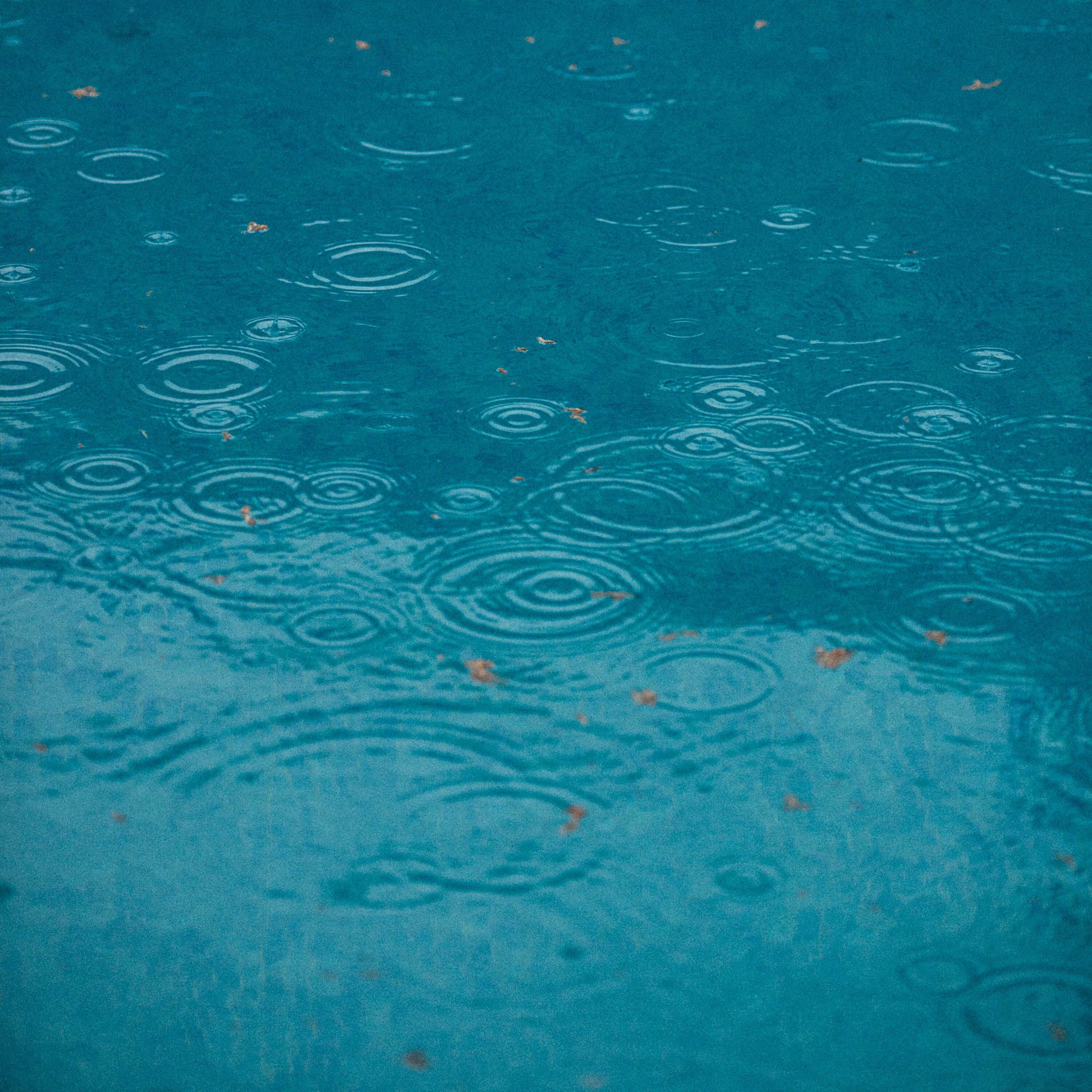 Artist picture of 睡觉的雨声 rain