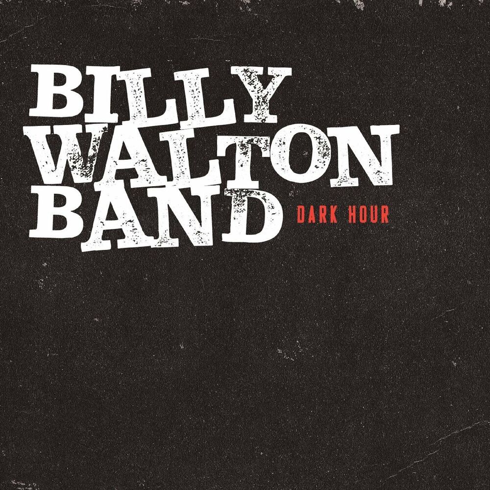 Picture of Billy Walton Band