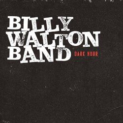 Picture of Billy Walton Band