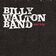 Image of Billy Walton Band