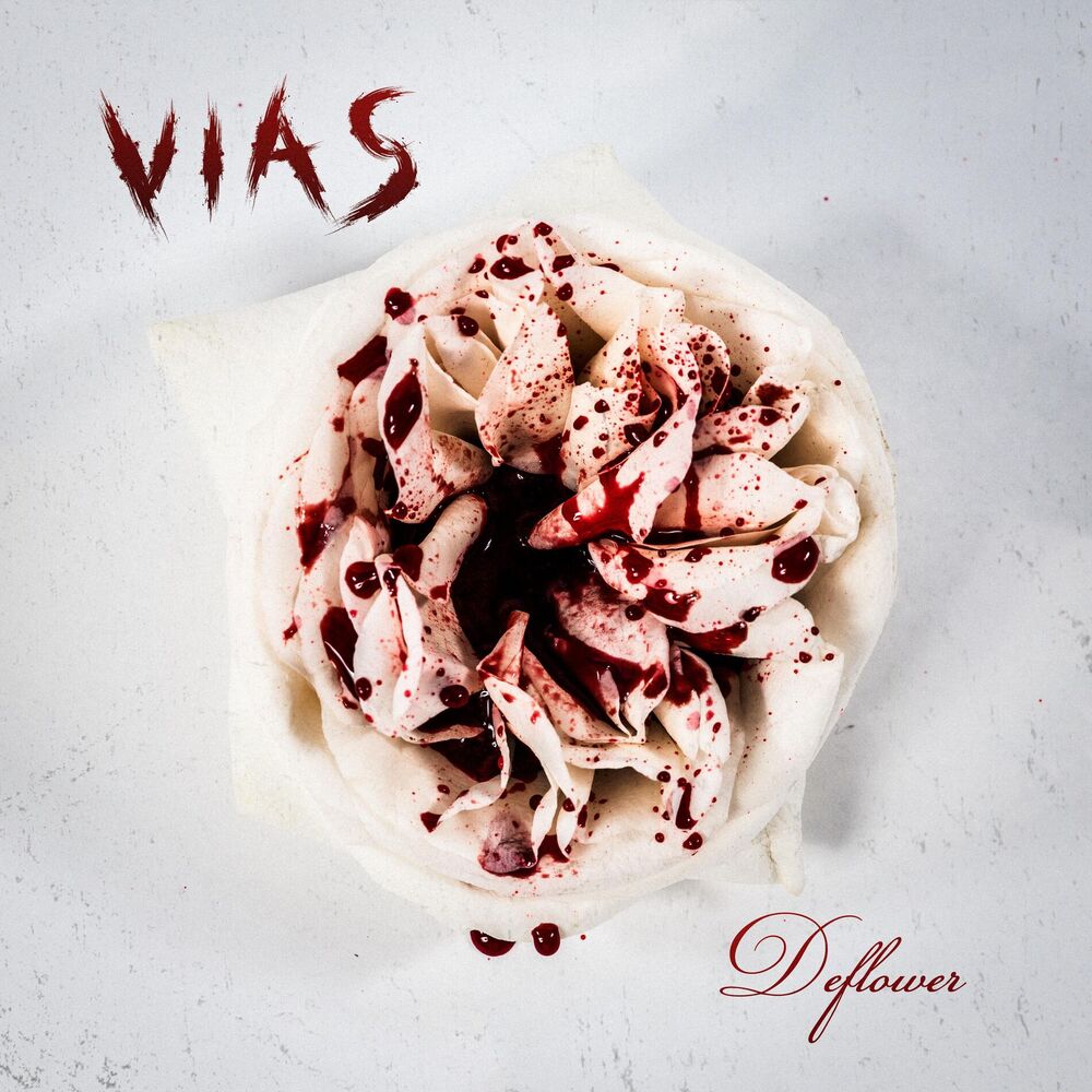 Picture of Vias