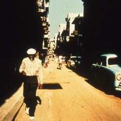 Picture of Buena Vista Social Club