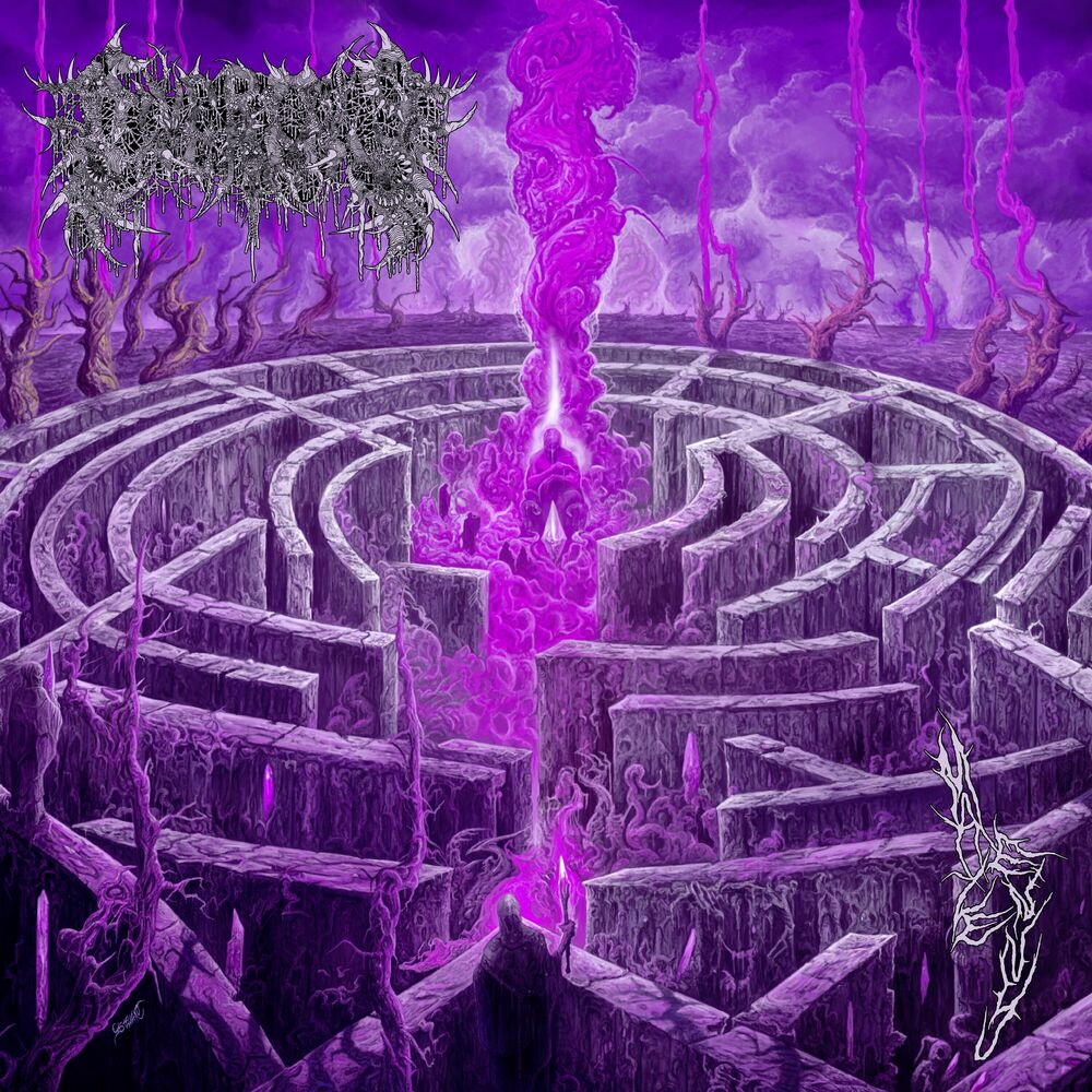 Picture of Civerous