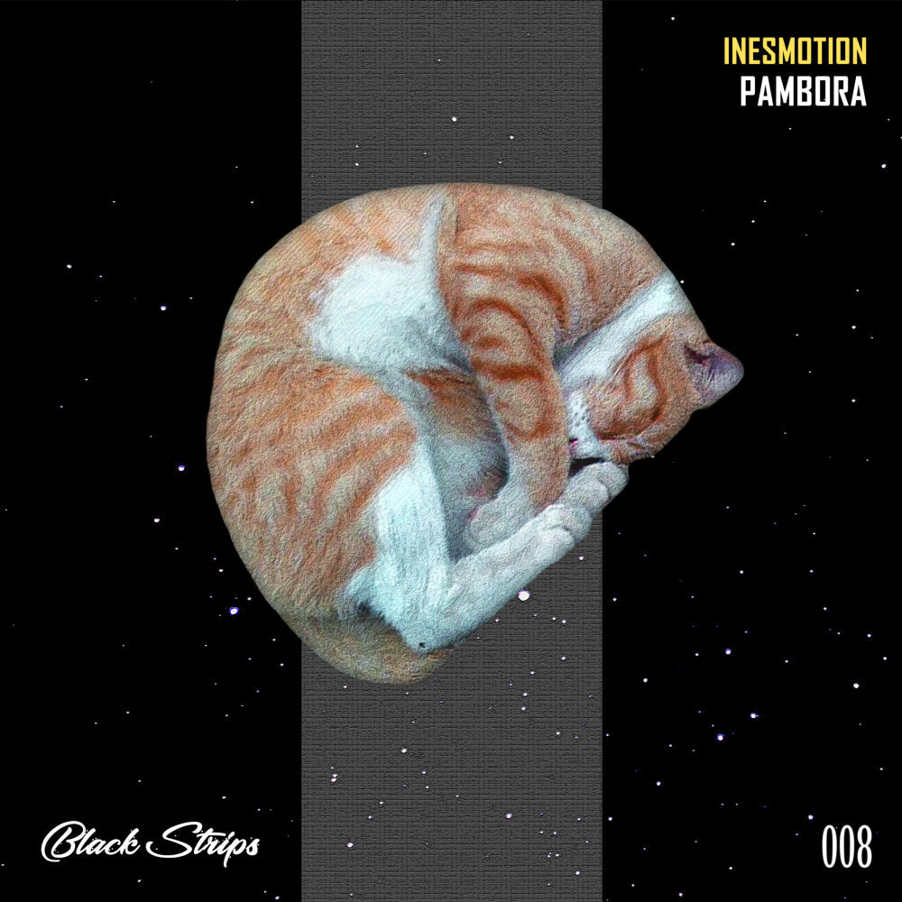 Picture of Inesmotion