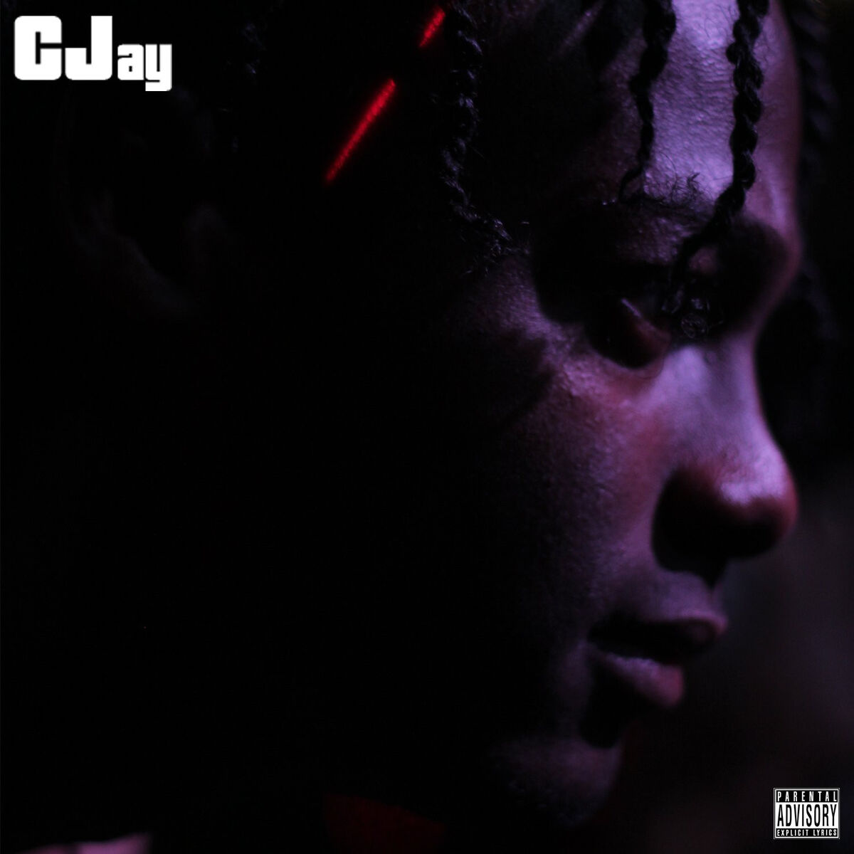 Artist picture of Cjay