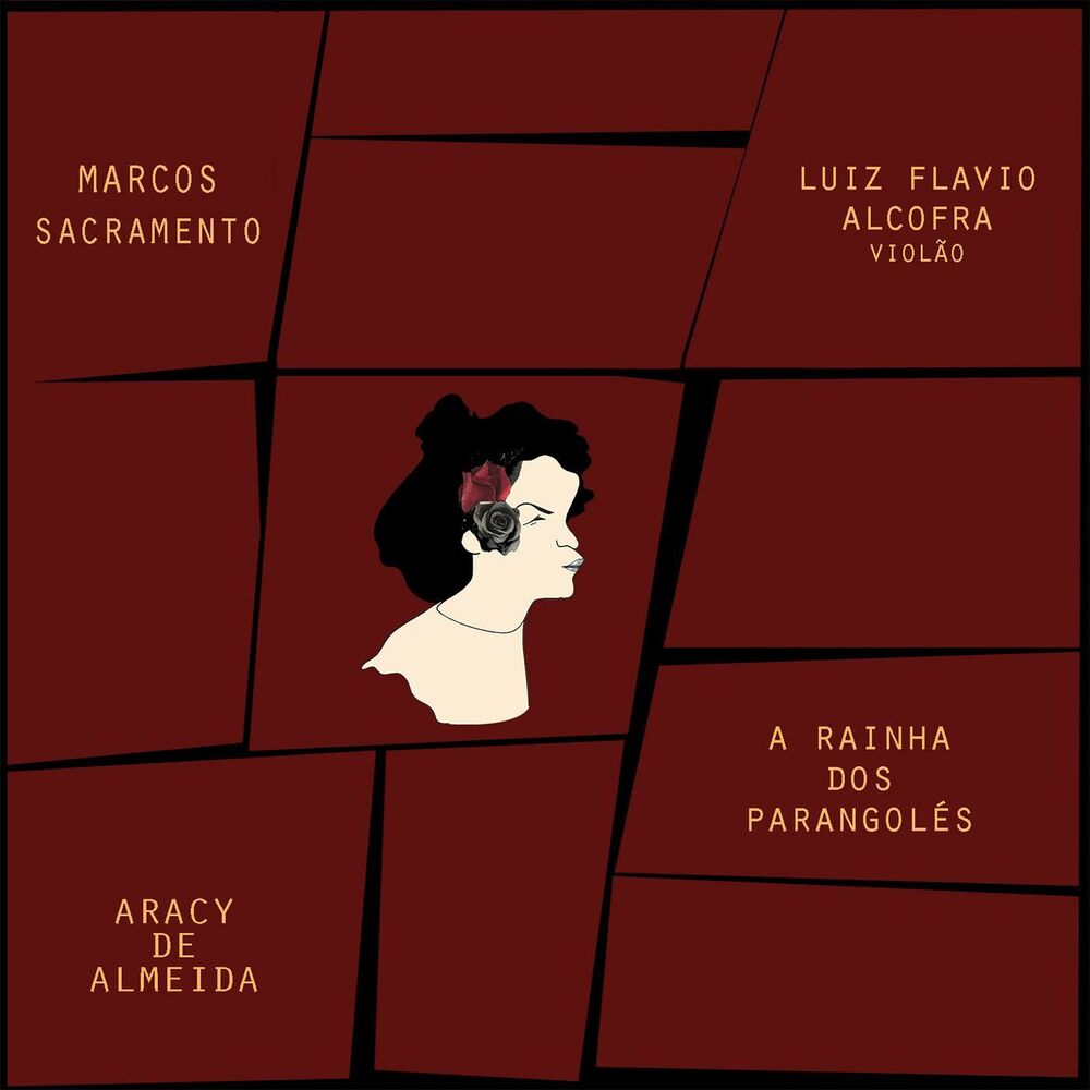 Picture of Luiz Flavio Alcofra