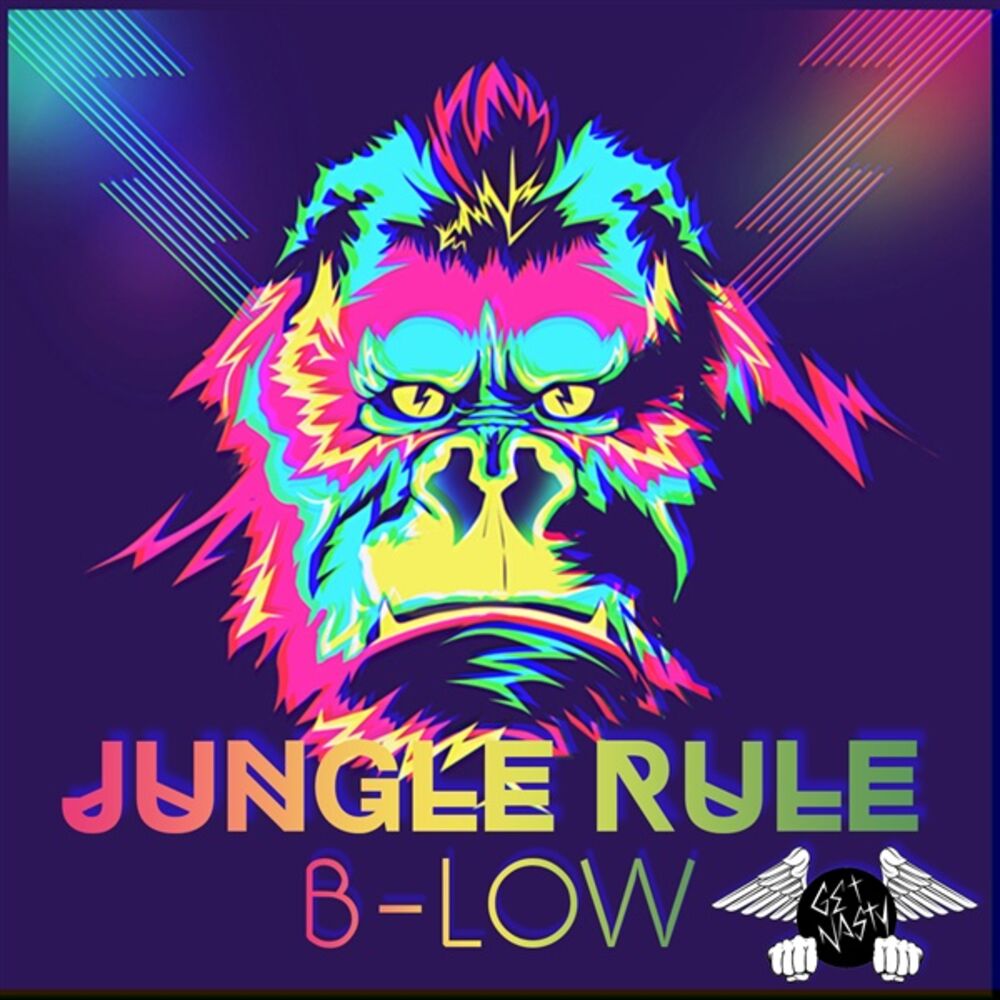 Picture of B-Low