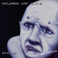 Picture of Scars of Life
