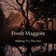 Fresh Maggots