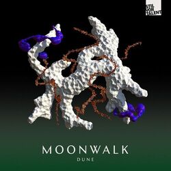 Picture of Moonwalk