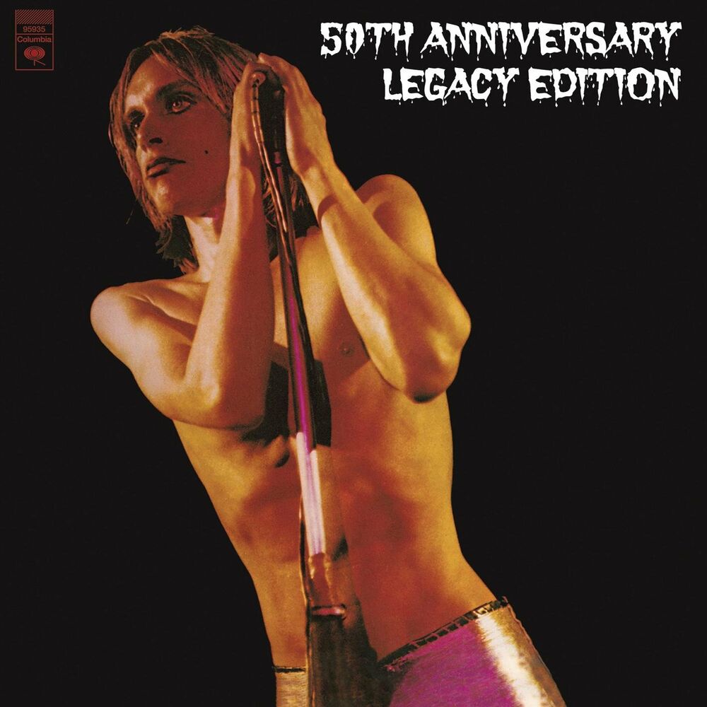 Picture of Iggy & the Stooges