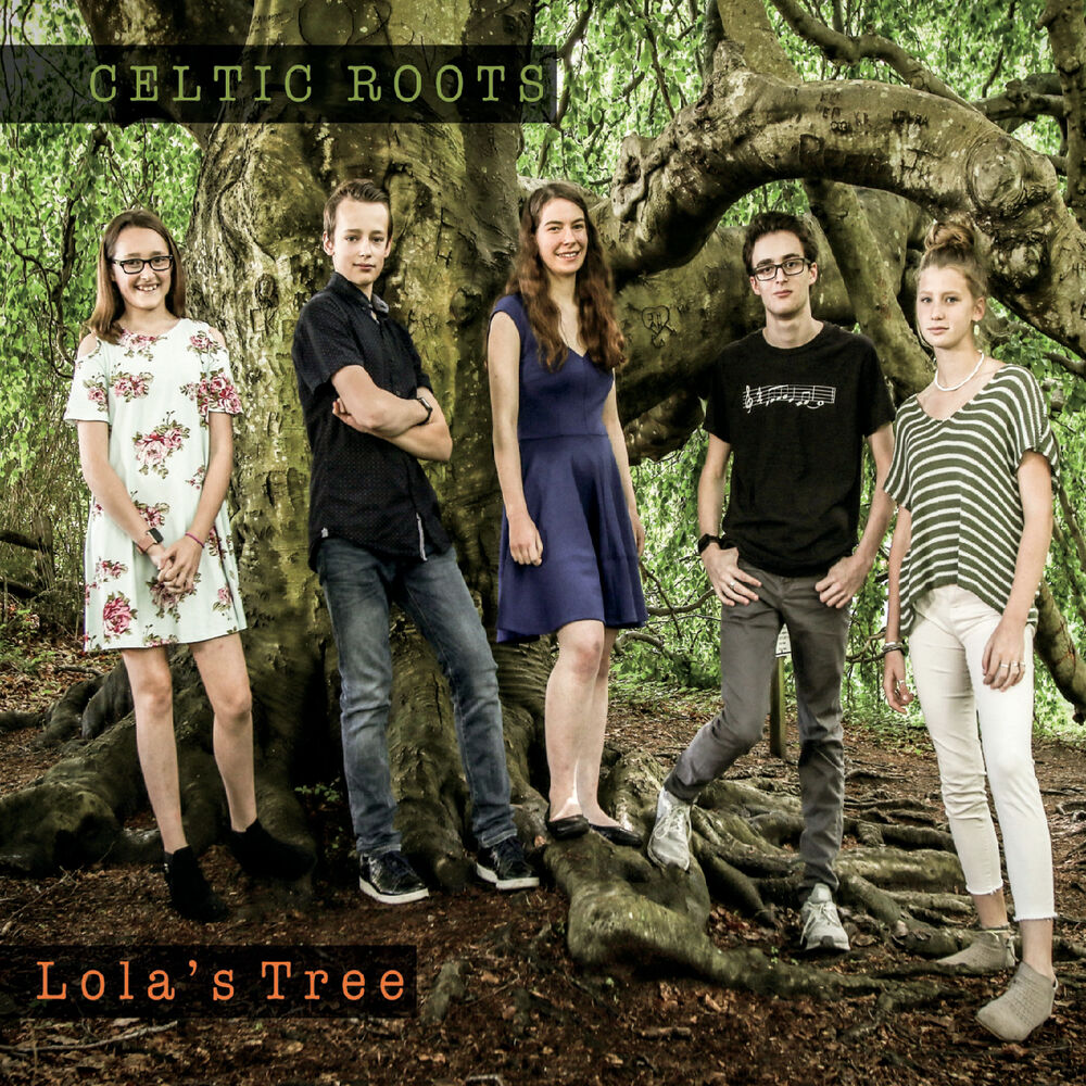 Picture of Celtic Roots