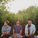 Dutch Criminal Record