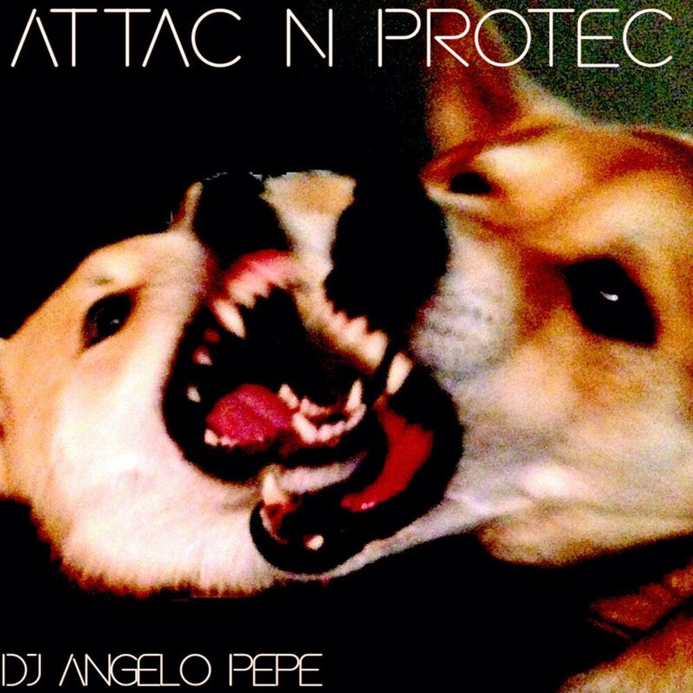 Picture of DJ Angelo Pepe