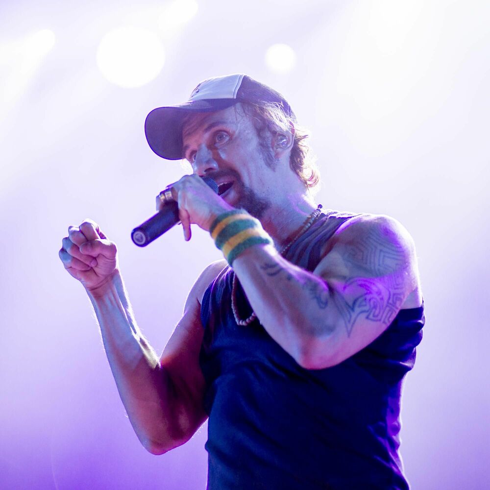 Picture of Macaco