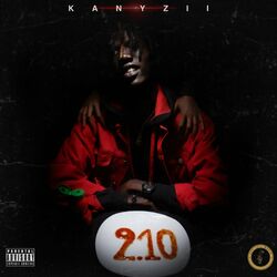 Picture of KANYZII