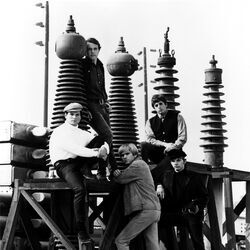 Picture of The Electric Prunes