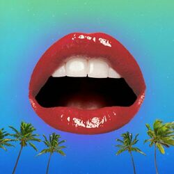 Picture of Miami Funk Inc