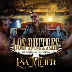 Los Buitres De Culiacan Sinaloa