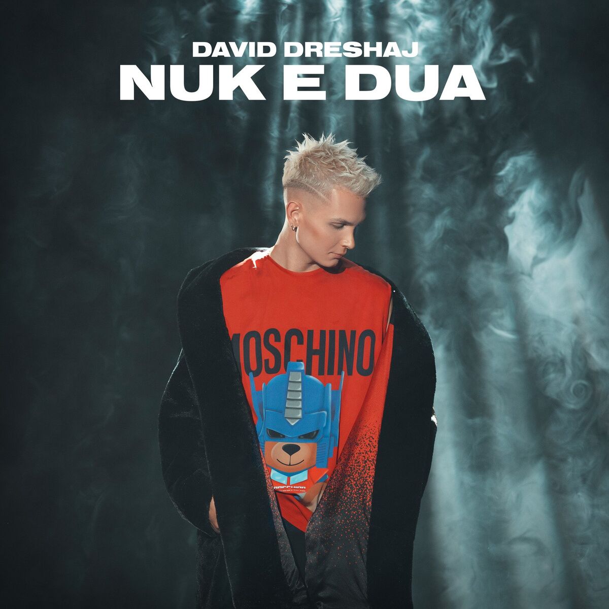 Artist picture of David Dreshaj