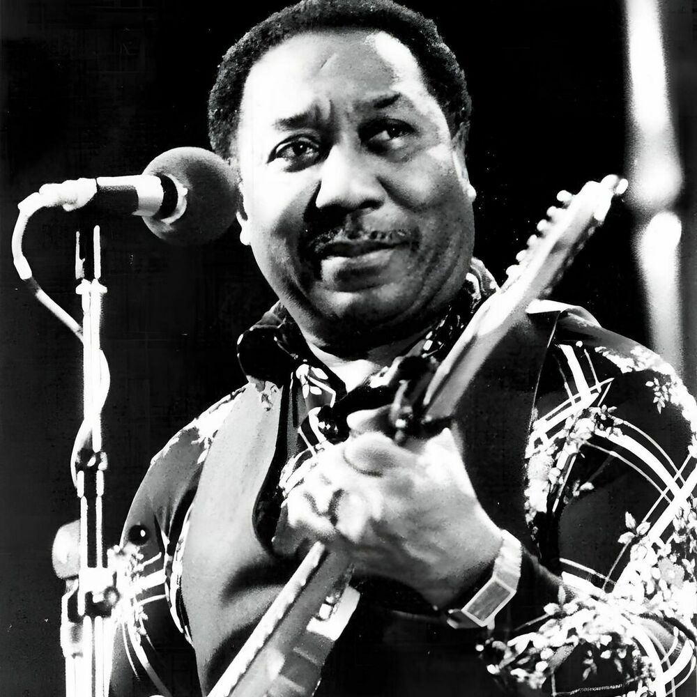 Picture of Muddy Waters