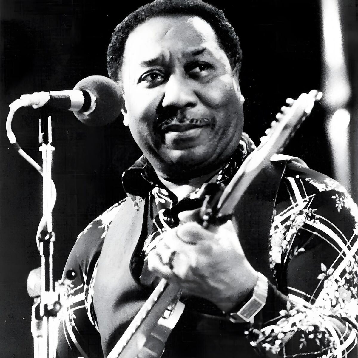 Muddy Waters