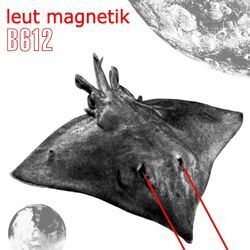Picture of Leut Magnetik