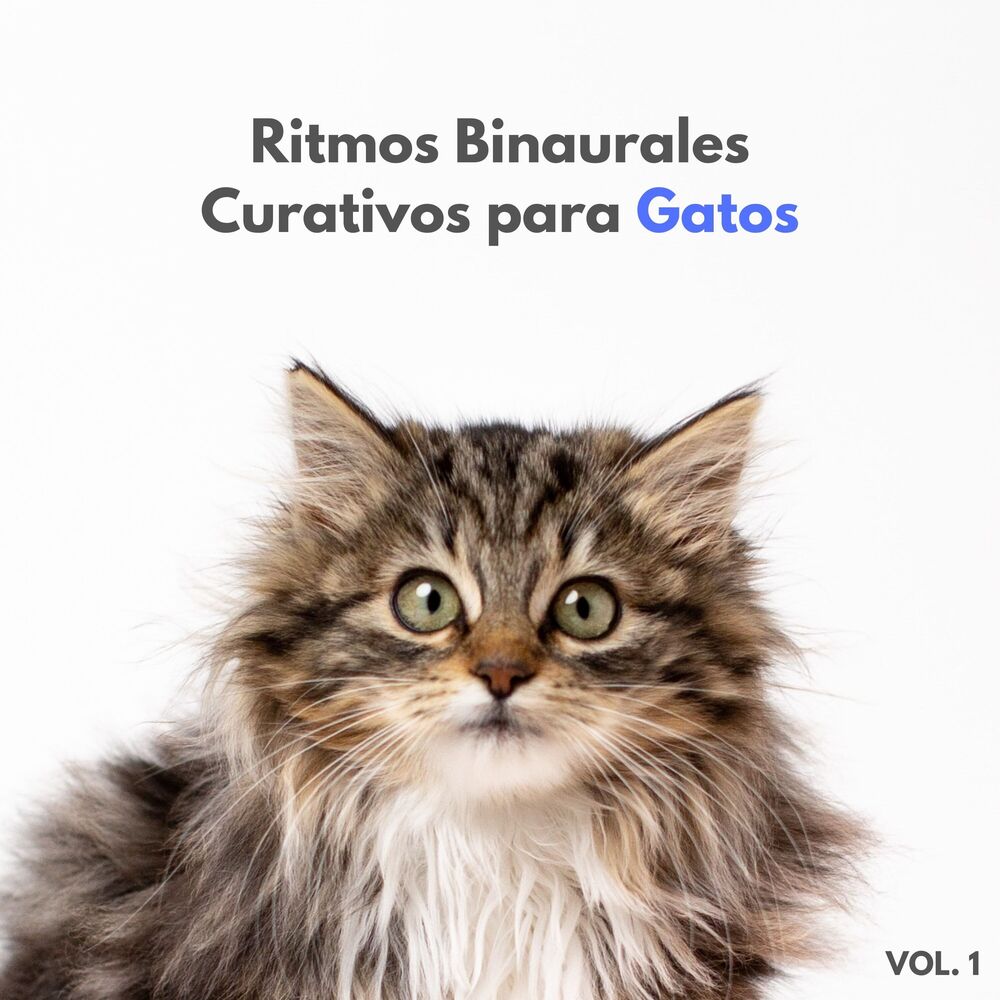 Picture of Música para Gatos Paz