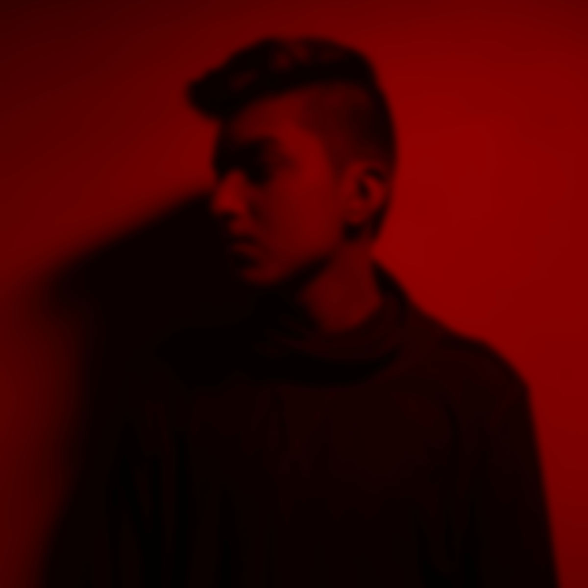 Artist picture of Rayasa