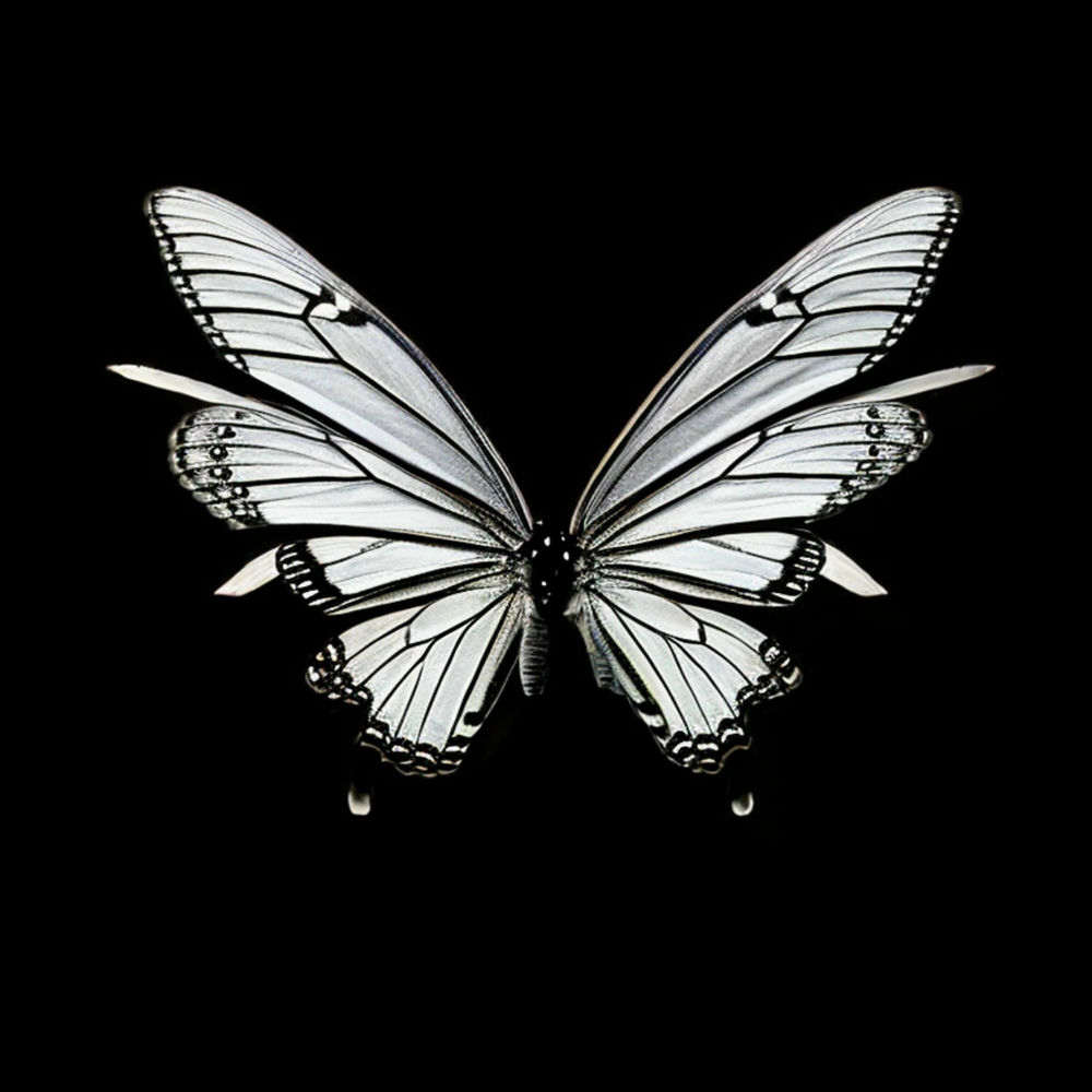 Photo de l'artiste Syntax