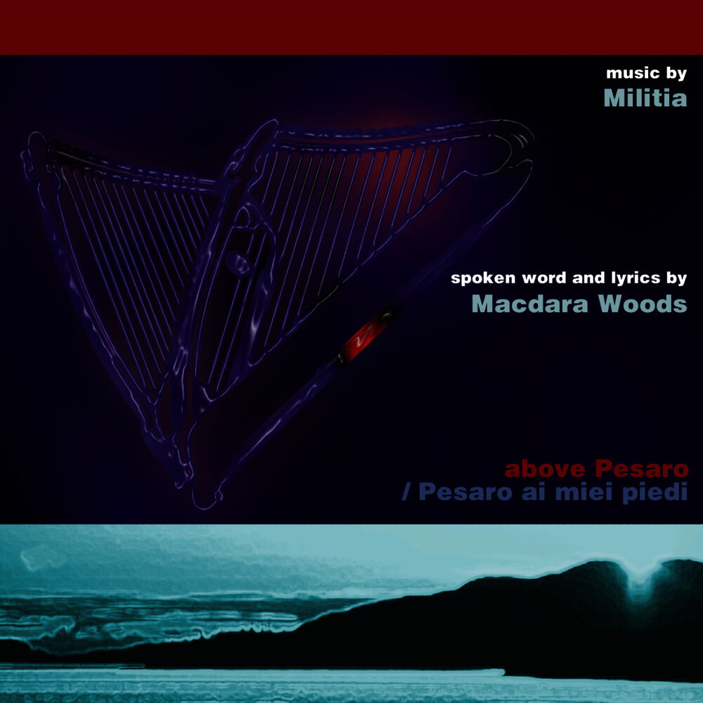 Picture of Macdara Woods
