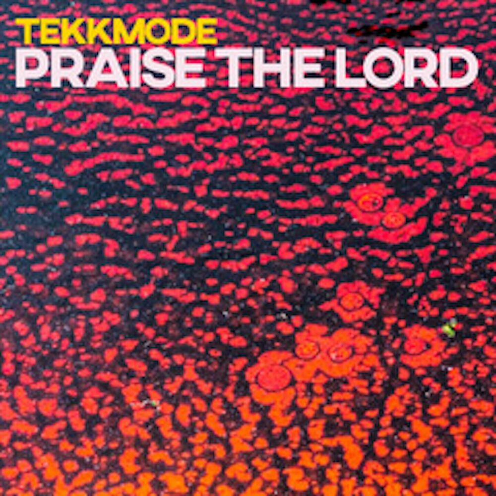 Picture of TEKKMODE