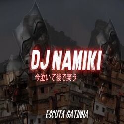 Picture of DJ NAMIKI