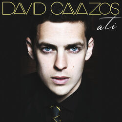 David Cavazos