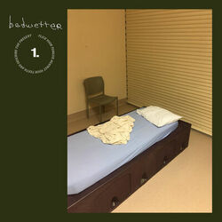 Picture of Bedwetter