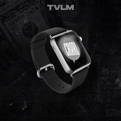 Picture of TVLM