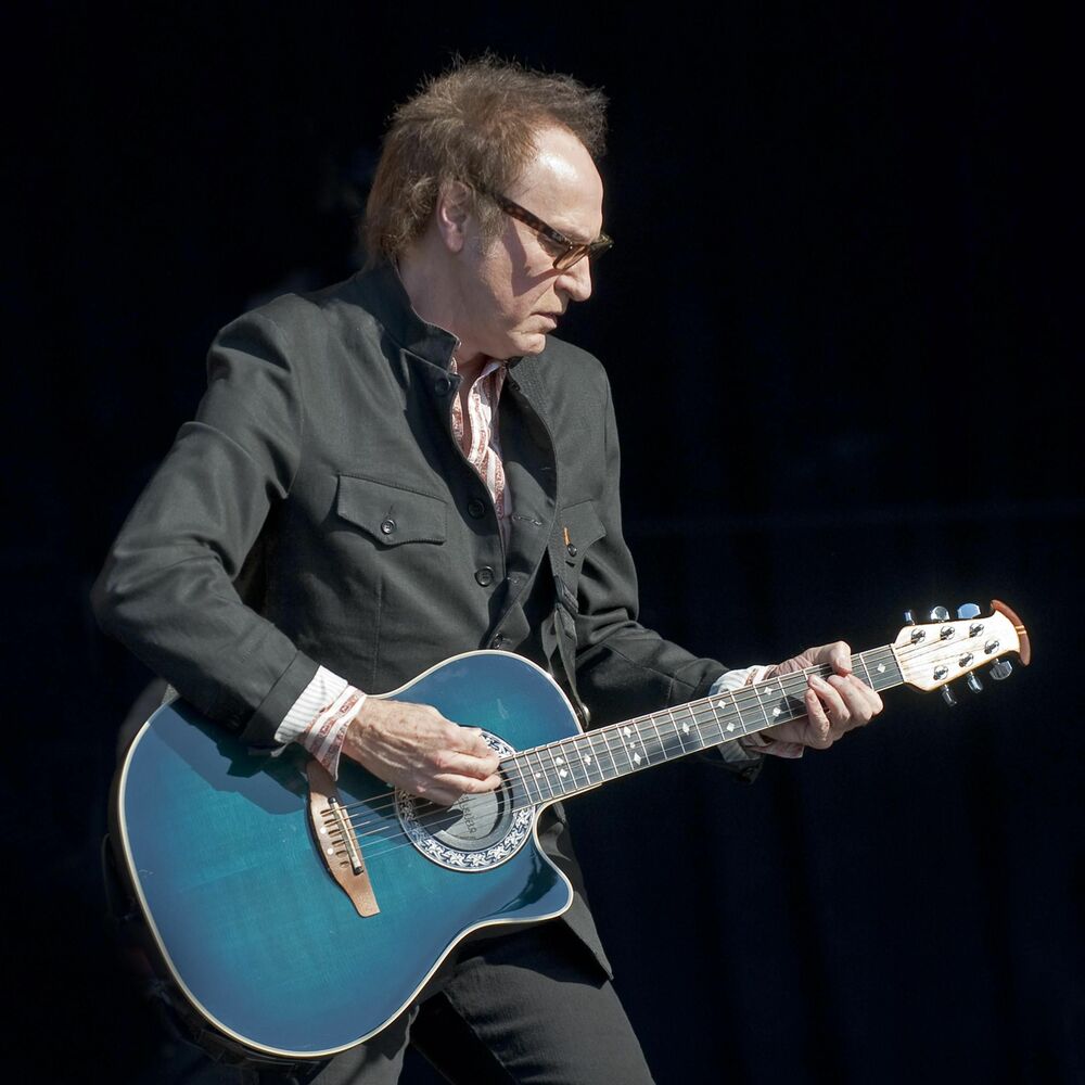 Picture of Ray Davies