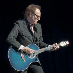 Picture of Ray Davies